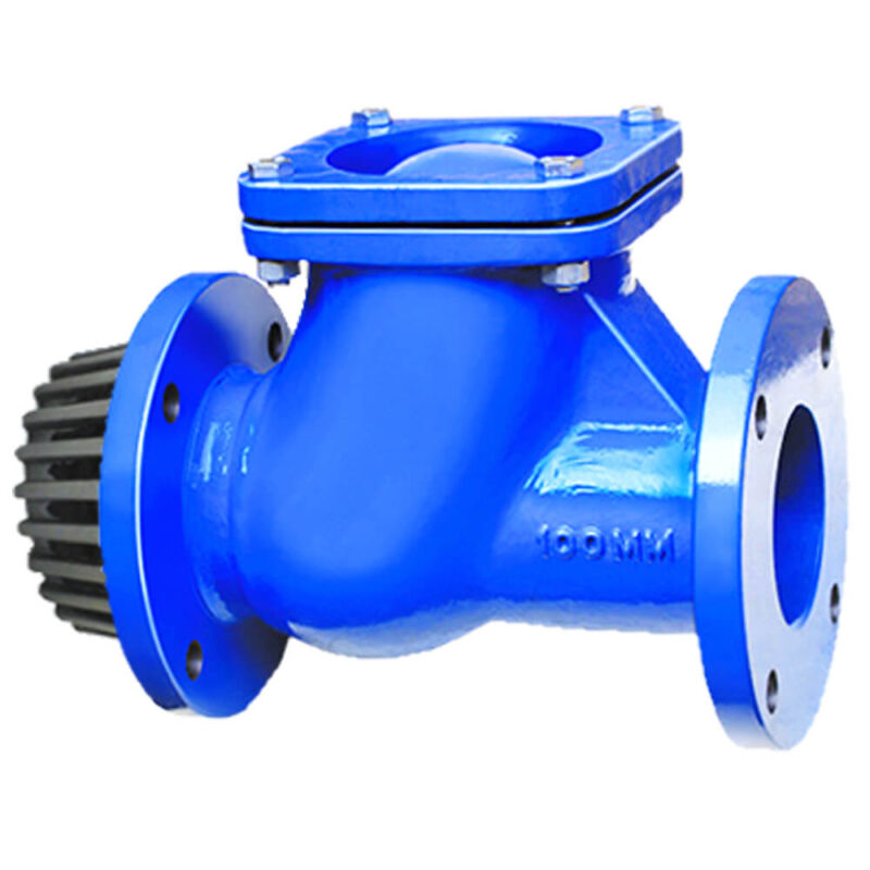 Cast Iron Ball Type Foot Valve F/E PN 16LIV-BFT-CI-002