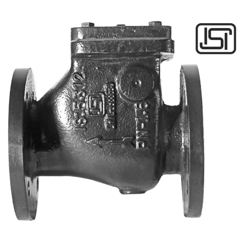 Reflux Valve PN 16 LIV-RFV-DI-003