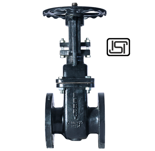 DI Gate Valve Rising F/ELIV-SLV-DI-P3-002