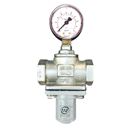 Stainless Steel PRV LIV-PRS-CF8-SE-008